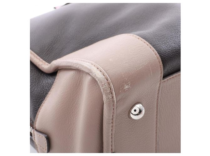 Borsa Loewe Amazona 36 Marrone Beige Porpora - vista 7