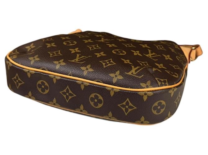 Borsa a Spalla Louis Vuitton Odeon PM Monogram Marrone - vista 5