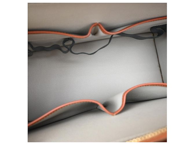 Louis Vuitton Riviera Epi Leather Brown - view 5