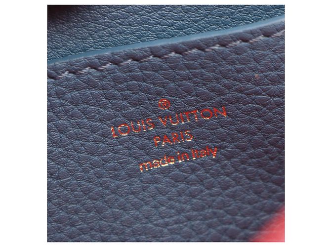 Borsa a tracolla Louis Vuitton LV PONT 9 Pont Neuf Soft PM Blu - vista 4