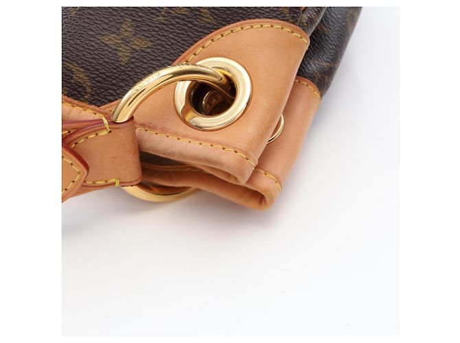Borsa a Spalla Louis Vuitton Galliera PM Marrone Monogramma - vista 8