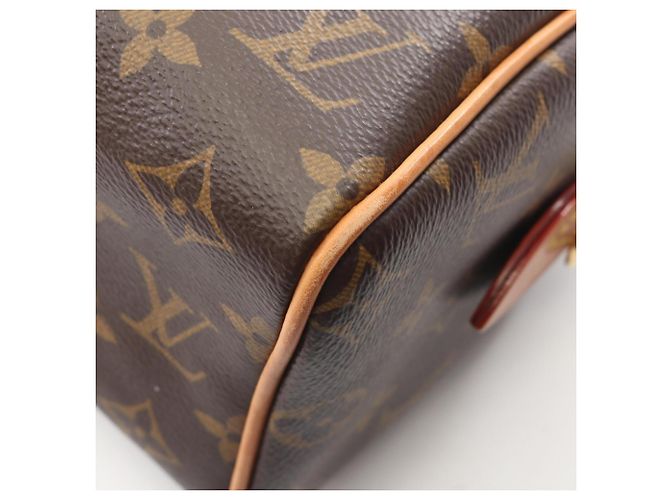 Borsa Louis Vuitton Speedy Bandoulière 20 Monogram Marrone Monogramma - vista 6