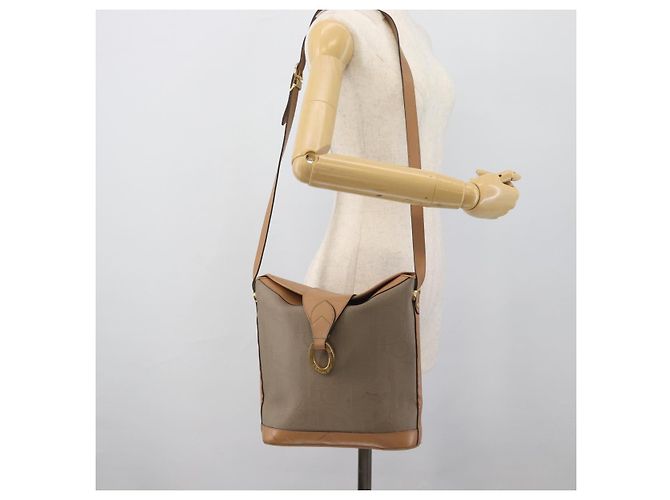 Borsa a Spalla Christian Dior PVC Pelle Beige Oro gh2327 - vista 20