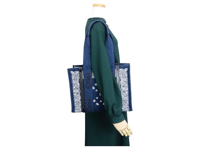 Borsa Tote Woody Medium Chloé Bianco Blu - Ansicht 22
