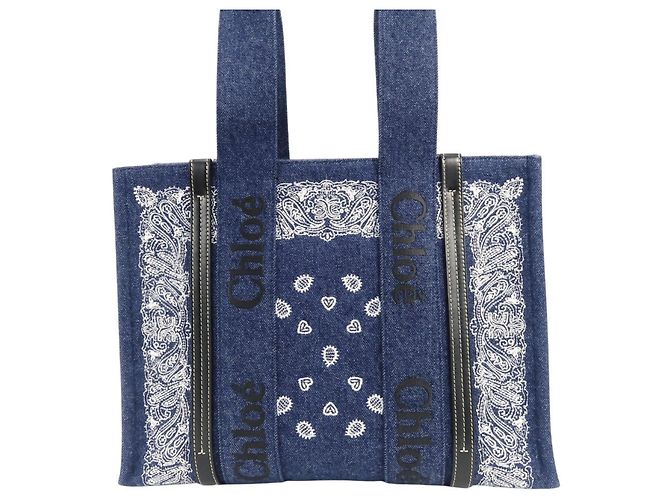 Borsa Tote Woody Medium Chloé Bianco Blu - Ansicht 4