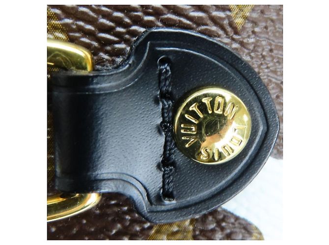 Borsa Tote Louis Vuitton Neverfull MM Marrone Nero Argento D'oro - vista 8