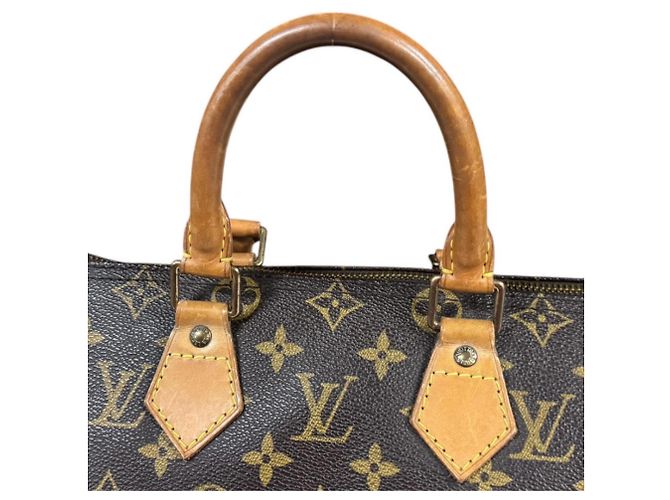 Borsa Louis Vuitton Speedy 25 Monogram Marrone - vista 15