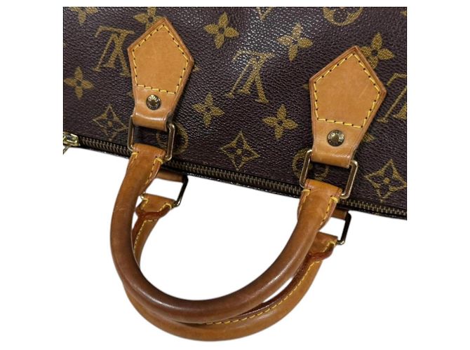 Borsa Louis Vuitton Speedy 25 Monogram Marrone - vista 16