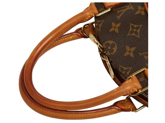 Borsa Louis Vuitton Monogram Ellipse PM Marrone - vista 8