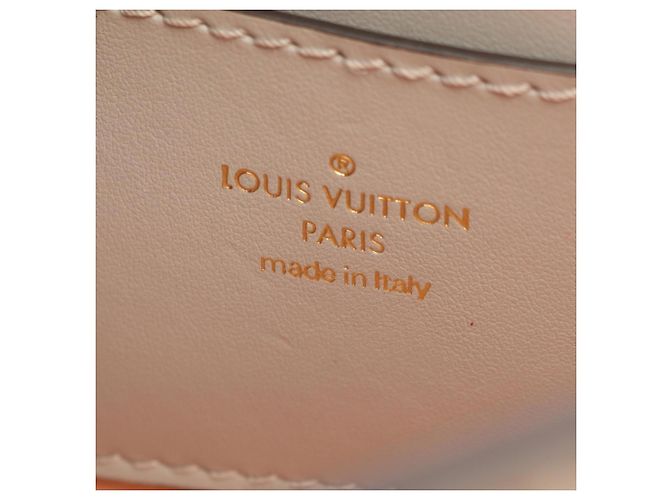Louis Vuitton LV PONT 9 Pont Neuf Borsa a Spalla Marrone - vista 4