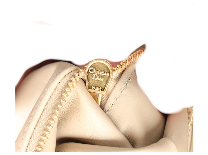 Piccola borsa Dior Caro in pelle beige Stampa python - vista 13