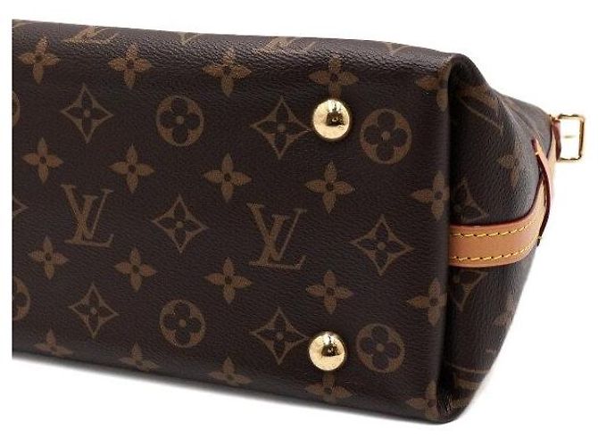 Louis Vuitton Borsa Tote e Borsa a Spalla CarryAll PM Monogram Canvas Multicolore - vista 8