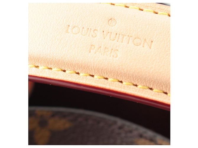 Néonoé Louis Vuitton Marrone Monogram Neonoe BB - vista 7