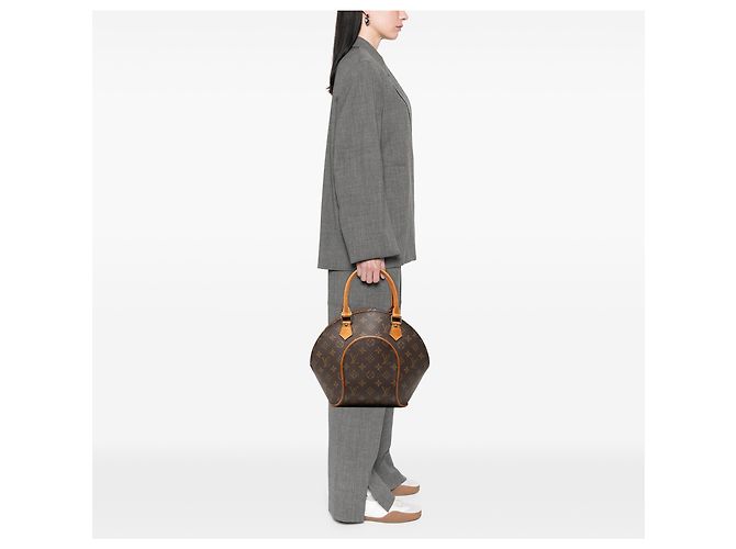 Louis Vuitton Marrone Monogram Ellipse PM - vista 6
