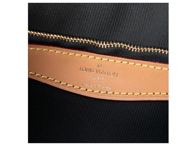 Louis Vuitton Marrone Monogram Diane - vista 5