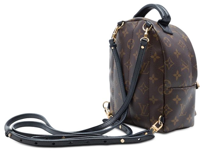 Louis Vuitton Marrone Monogram Mini Palm Springs - vista 2