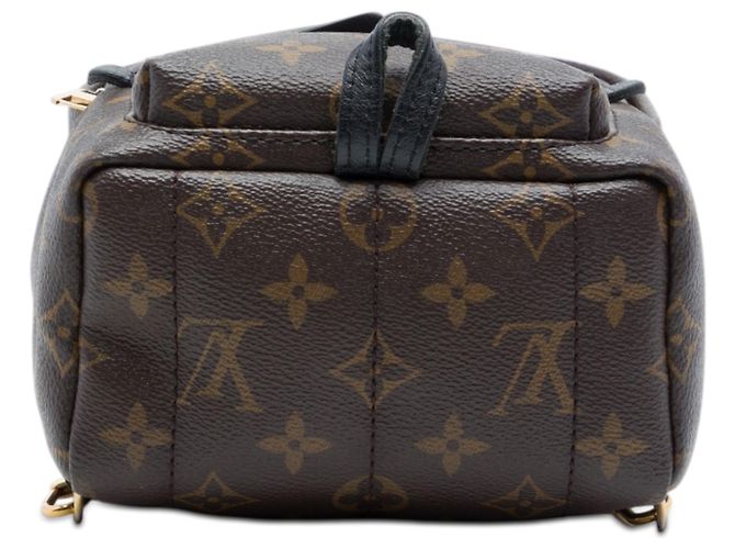 Louis Vuitton Marrone Monogram Mini Palm Springs - vista 3