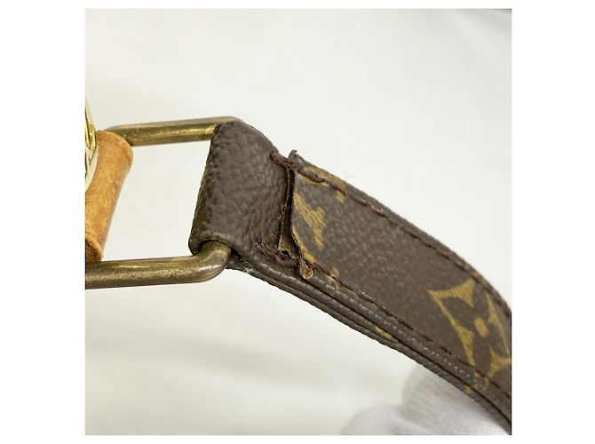 Borsa a Spalla Louis Vuitton Monogram Nile Marrone - vista 10