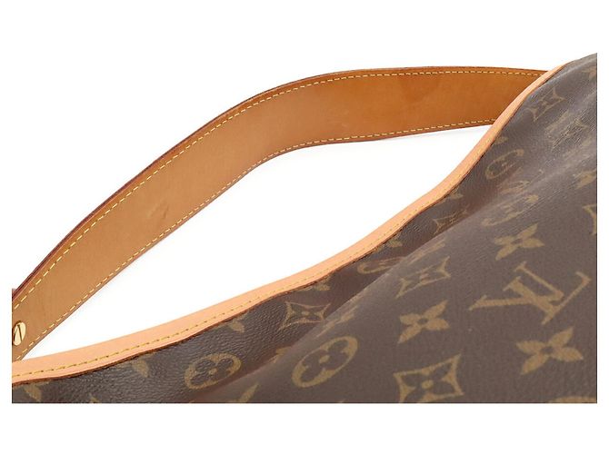 Borsa a Spalla Louis Vuitton Monogram Delightful PM Marrone - vista 5