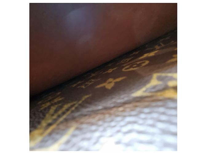 Louis Vuitton Monogram Serviette Document Bag for Unisex Brown - view 19