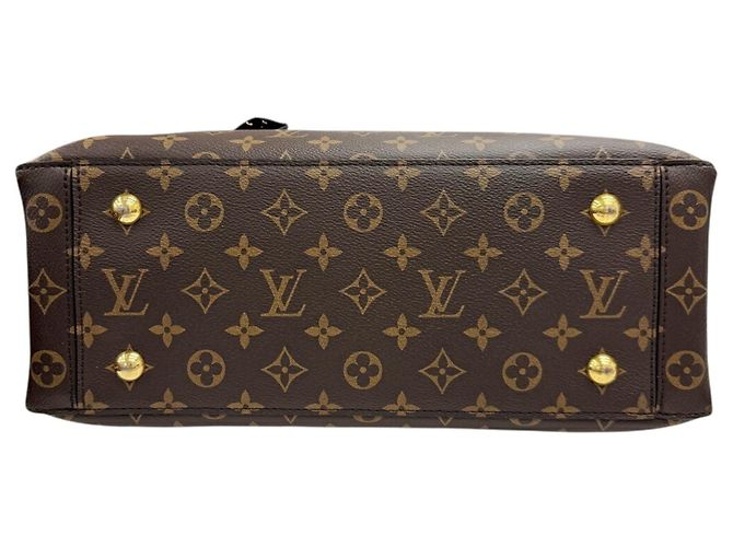 Borsa a tracolla Louis Vuitton M43550 Flower Tote Monogram Marrone Nero - vista 5