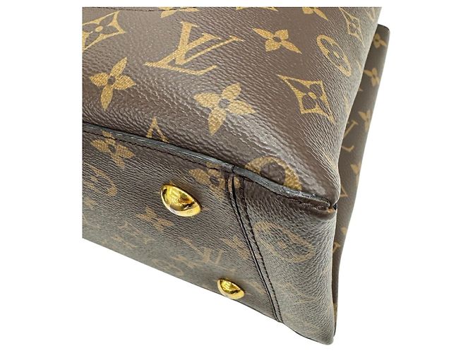 Borsa a tracolla Louis Vuitton M43550 Flower Tote Monogram Marrone Nero - vista 7