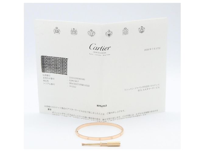 Bracciale Love di Cartier in oro rosa 18K D'oro - vista 5