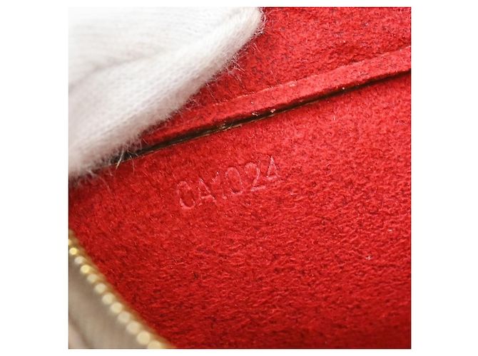 Louis Vuitton Viva Cite Monogram Canvas PM Marrone - vista 5