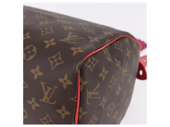 LOUIS VUITTON Monogram Totem Speedy 30 Hand Bag M41665 LV Auth 192431SV Monogramma - vista 15
