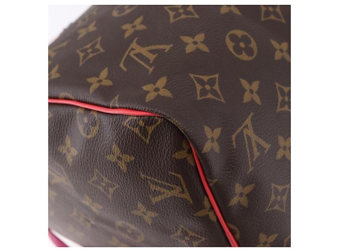 LOUIS VUITTON Monogram Totem Speedy 30 Hand Bag M41665 LV Auth 192431SV Monogramma - vista 16