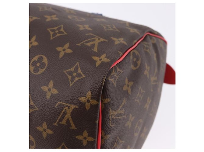 LOUIS VUITTON Monogram Totem Speedy 30 Hand Bag M41665 LV Auth 192431SV Monogramma - vista 17