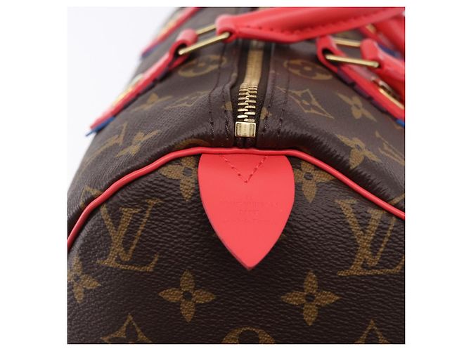 LOUIS VUITTON Monogram Totem Speedy 30 Hand Bag M41665 LV Auth 192431SV Monogramma - vista 18