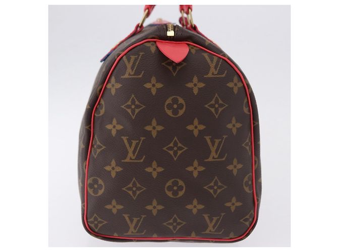 LOUIS VUITTON Monogram Totem Speedy 30 Hand Bag M41665 LV Auth 192431SV Monogramma - vista 4