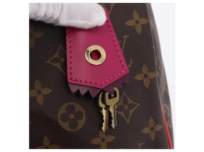 LOUIS VUITTON Monogram Totem Speedy 30 Hand Bag M41665 LV Auth 192431SV Monogramma - vista 9