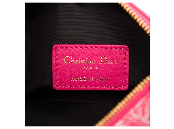 Christian Dior Dior Dioliviera Nomade Pouch Rosa - vista 5