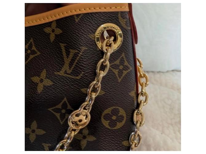 Borsa Louis Vuitton CarryAll BB Monogram Marrone Monogramma - vista 3
