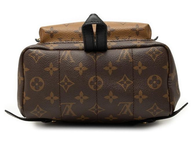 Zaino Louis Vuitton Monogram Reverse Palm Springs Marrone - vista 3