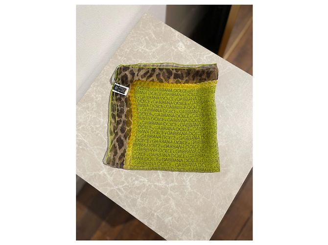 Foulard Dolce & Gabbana verde - vista 2