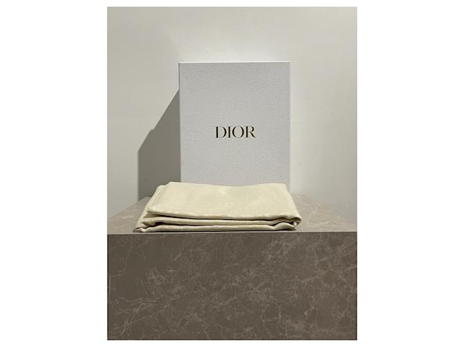 Christian Dior Sciarpa Dior Oblique ecru Beige - vista 3
