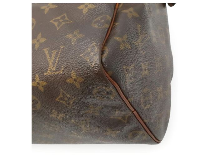 Borsa Louis Vuitton Monogram Speedy 25 Marrone - vista 4
