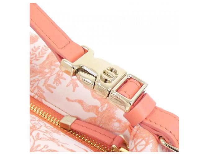 Borsa Pouch Christian Dior TOILE DE JOUY SOLEIL Nomad Medium Arancione - vista 5