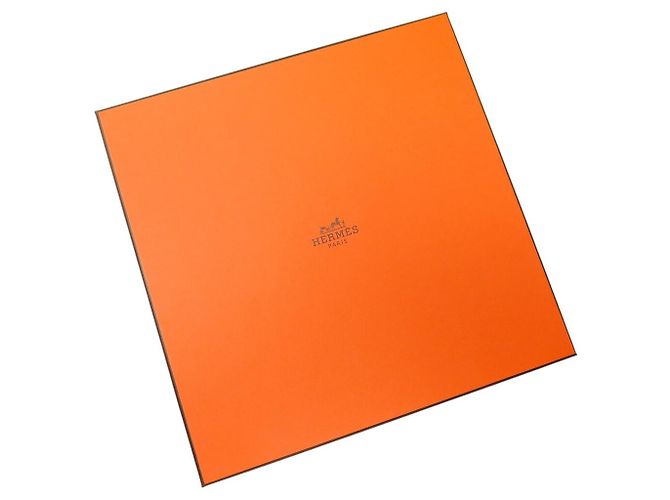 Hermès NEU HERMES PETIT DUC DOUBLE FACE CARRÉ 90 Seidentuch ORANGE - Ansicht 19