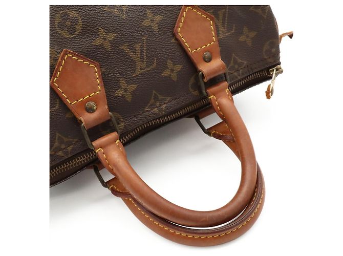 Borsa Louis Vuitton Monogram Speedy 25 M41528 Marrone Monogramma - vista 5