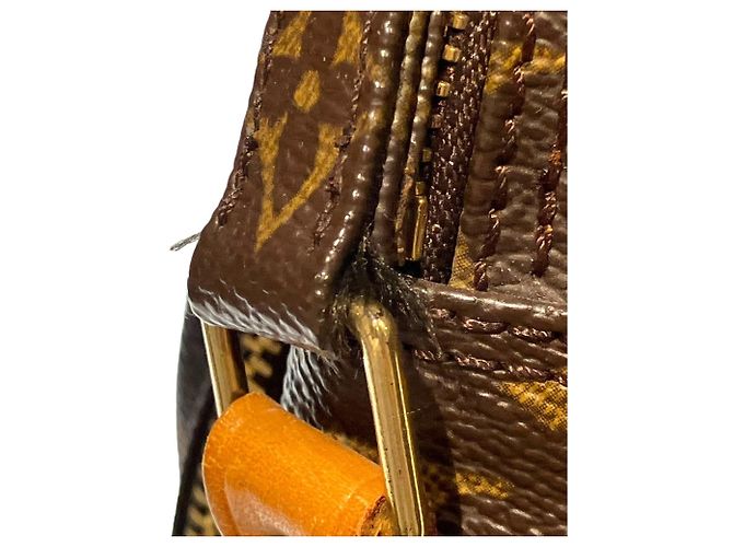 Borsa a Spalla Louis Vuitton Amazon Marrone - vista 6