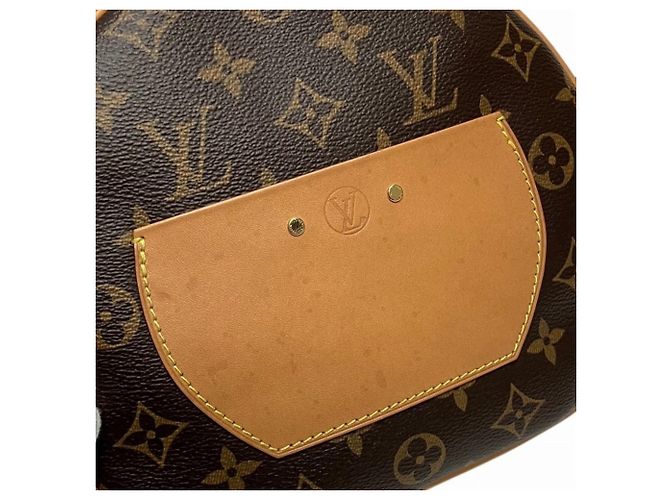 Louis Vuitton Boite Chapeau Souple MM Borsa a Spalla Marrone - vista 6