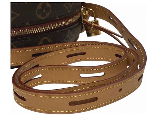 Louis Vuitton Boite Chapeau Souple MM Borsa a Spalla Marrone - vista 7