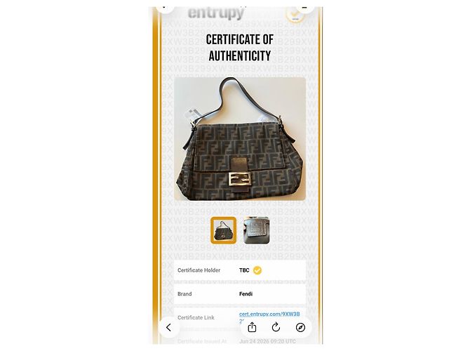 Fendi Zucca Tasche Braun - Ansicht 11