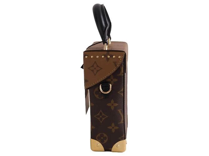 Petite Malle Louis Vuitton Camera Box Borsa a tracolla marrone pelle - vista 2