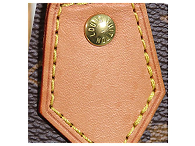 Borsa Louis Vuitton Monogram Alma BB marrone - vista 14