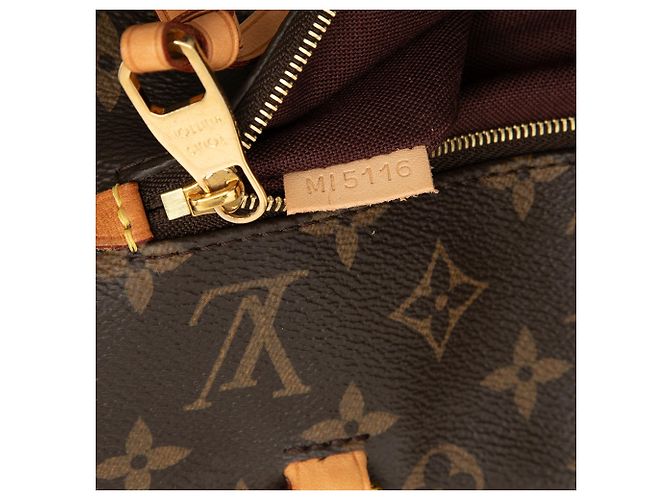 Borsa a tracolla Louis Vuitton Monogram Iena PM Marrone - vista 6